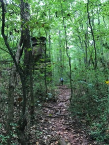 Ruffner Mountain is all kinds of beauty for trail runners.
